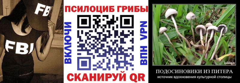 где купить наркотик  Железногорск-Илимский  Псилоцибиновые грибы Magic Shrooms 